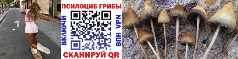 Галлюциногенные грибы Magic Shrooms  Кущёвская 